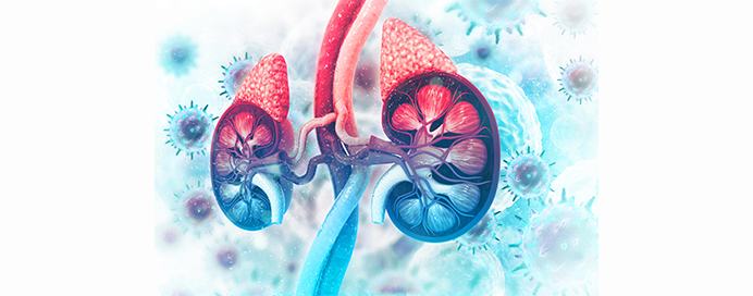Adrenal Disorders